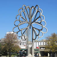 Five Seasons Tree Photo